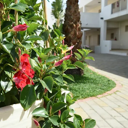 Aparthotel Donnosanto 3*